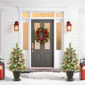 Set of 2 24.5 Inch Pre-lit Multi Color Outdoor Christmas Tree with Remote,Christmas Porch Decorations for Home & Yard
